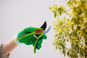 ¿PODAS DIFÍCILES?: NOSOTROS LO HACEMOS POR TÍ