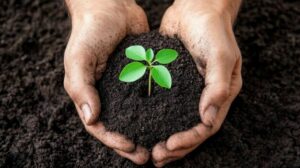 ¡TE ENSEÑAMOS A TRANSPLANTAR FLORES!